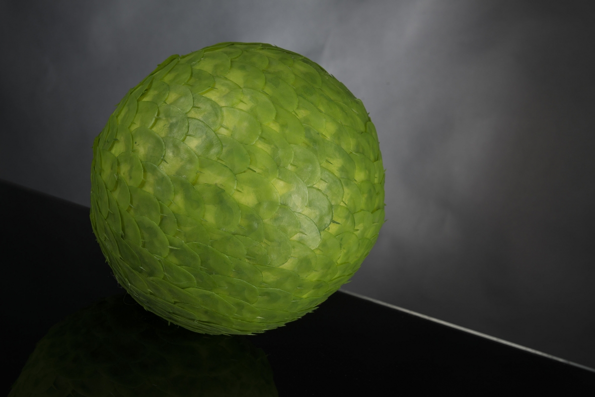 1141699.60_1