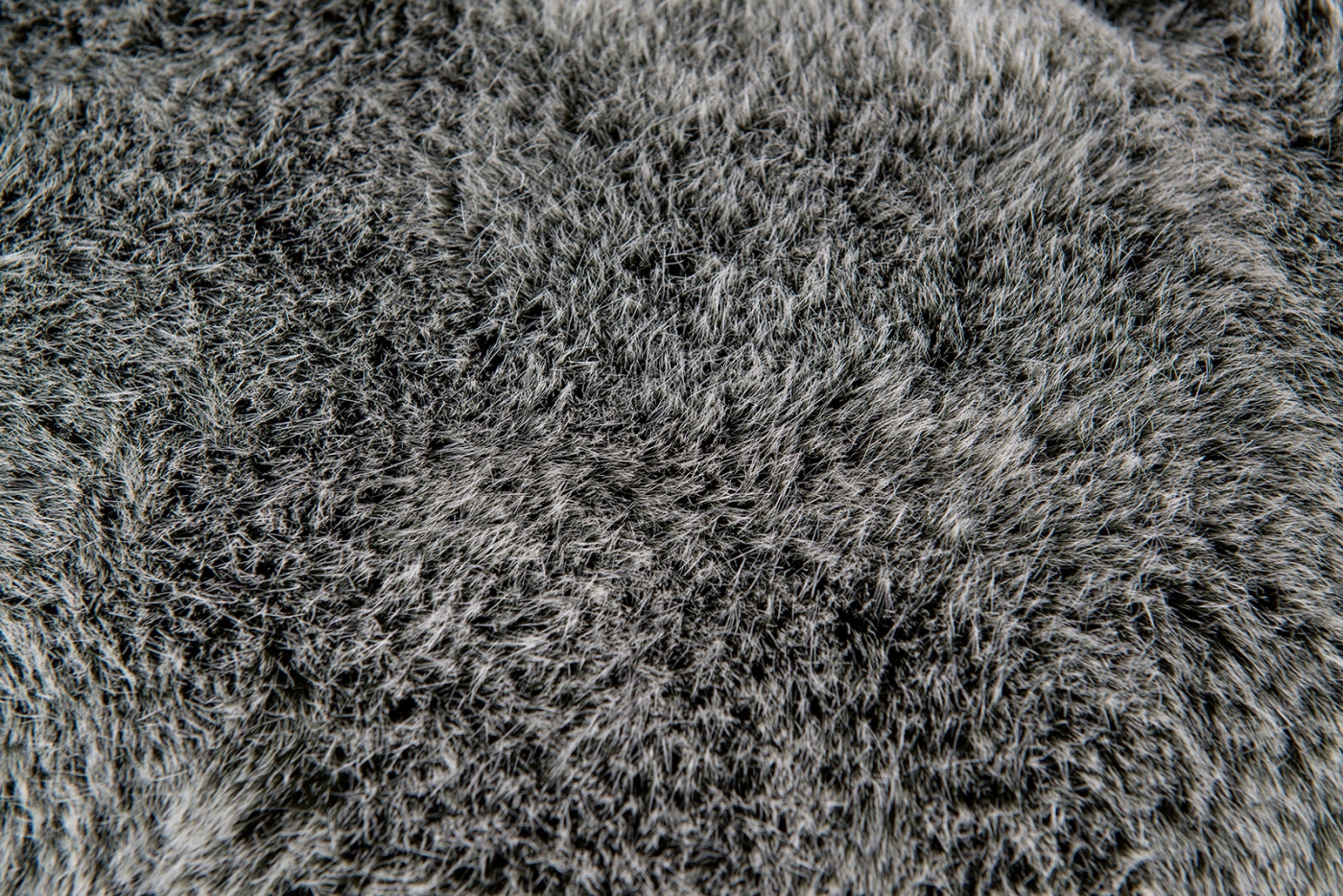 7542593.60_1b