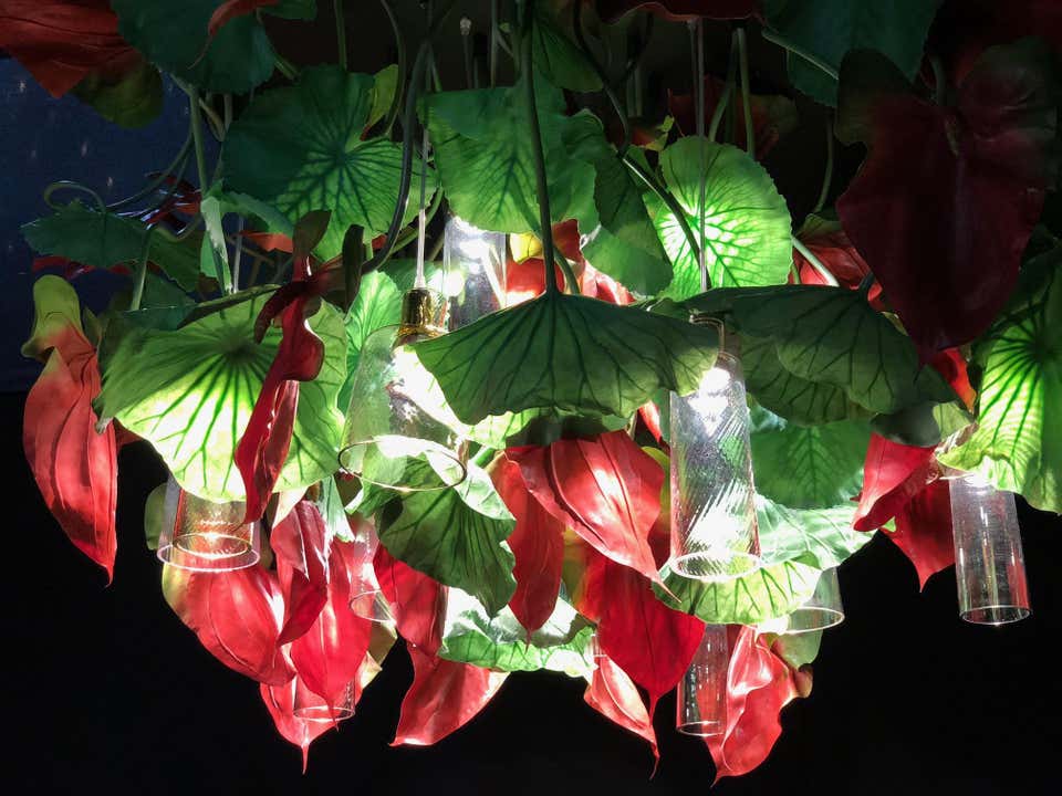 1611130764-IMG_3570_master