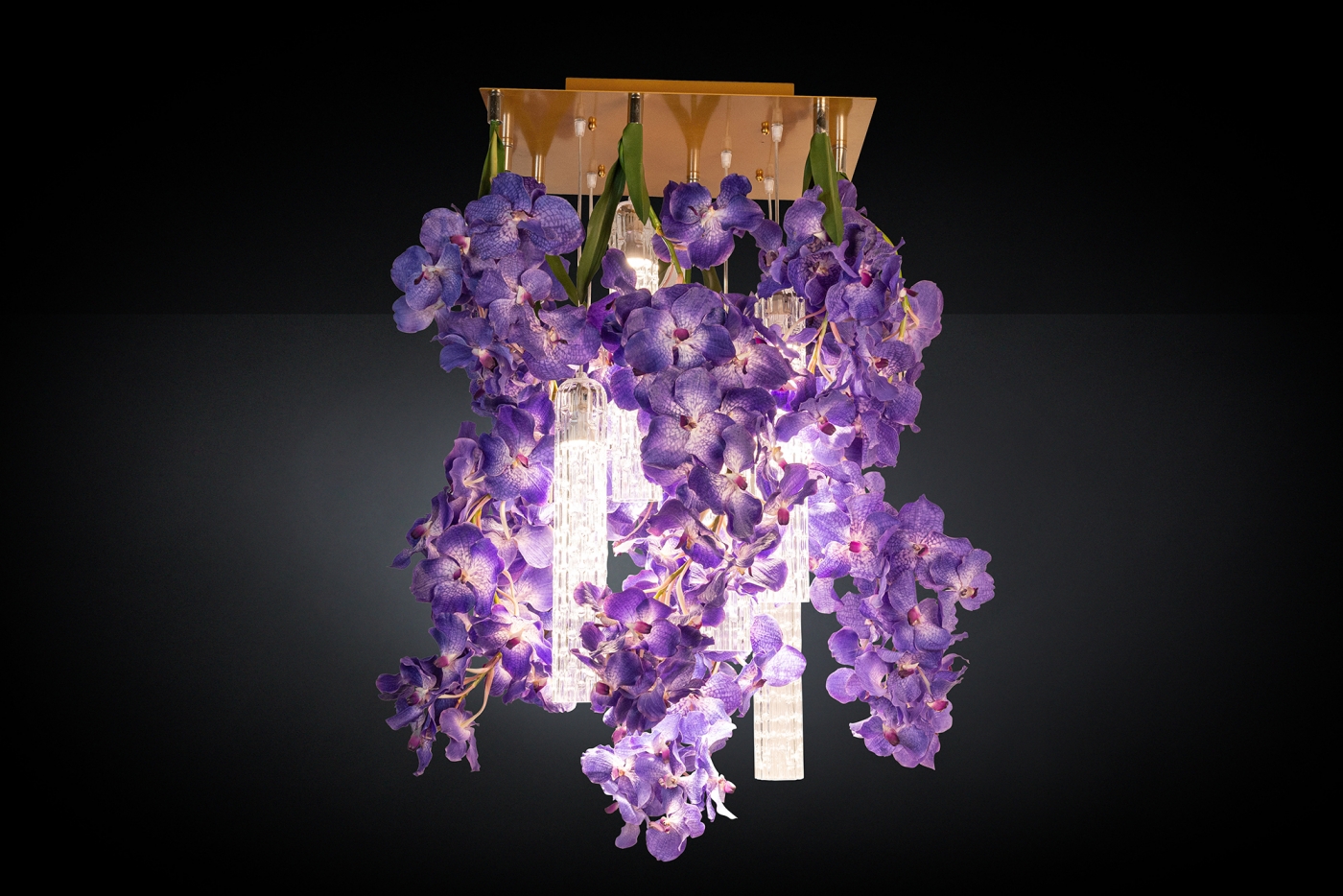 1624623488-8880380.99_VANDA_50x50_2120