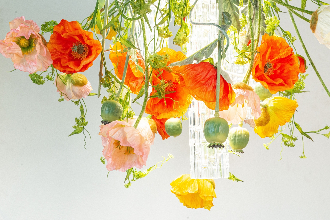1624626559-NEW_POPPY_8880174.84_2323