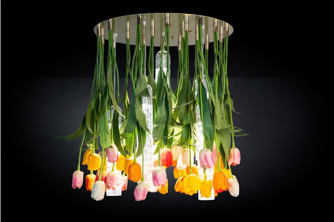 1624626820-TULIP_D65_8880330.84_2143