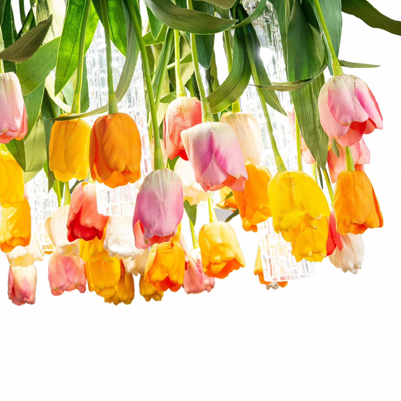 1624626825-TULIP_D65_8880330.84_2144
