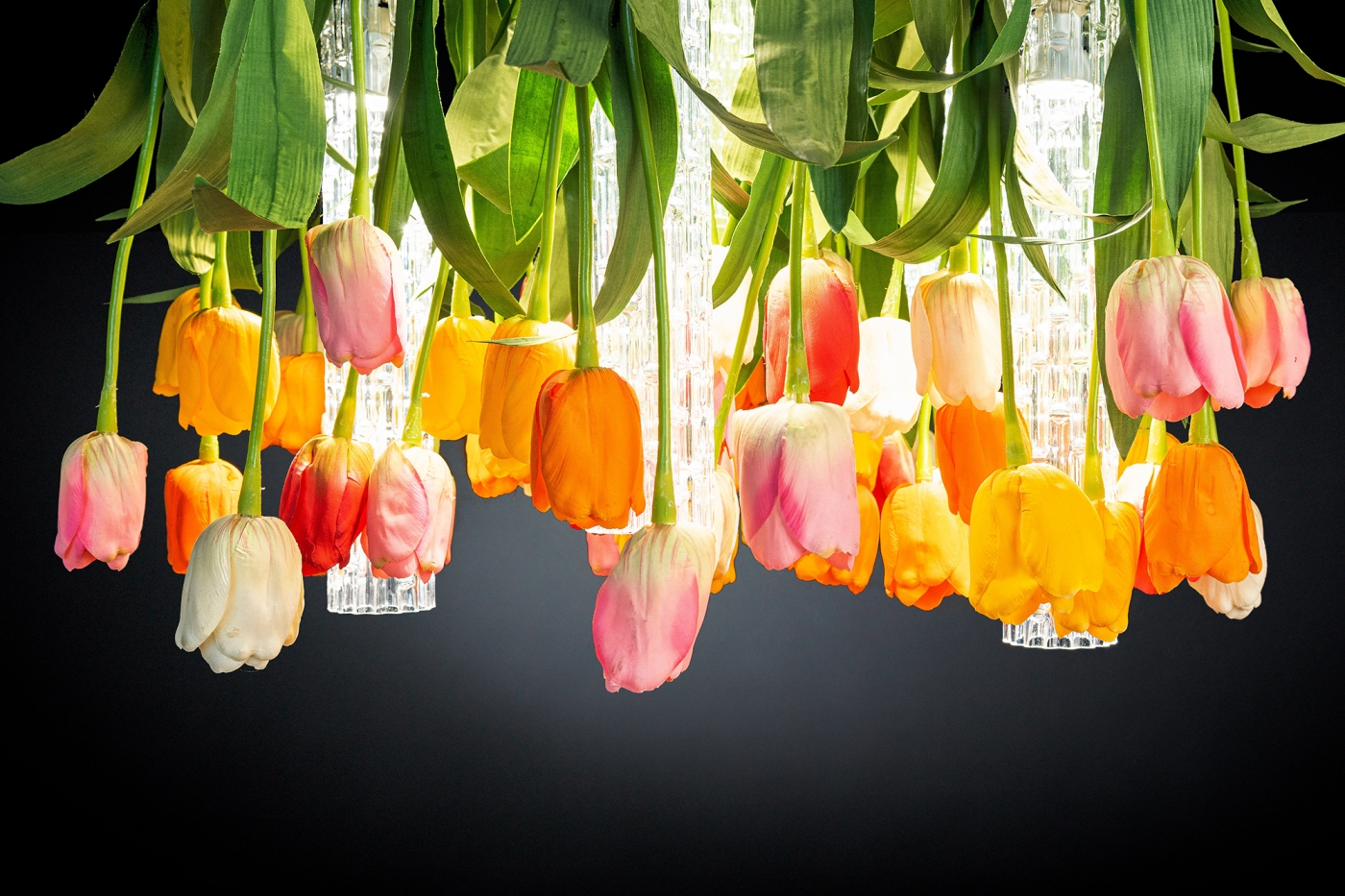1624626826-TULIP_D65_8880330.84_2164