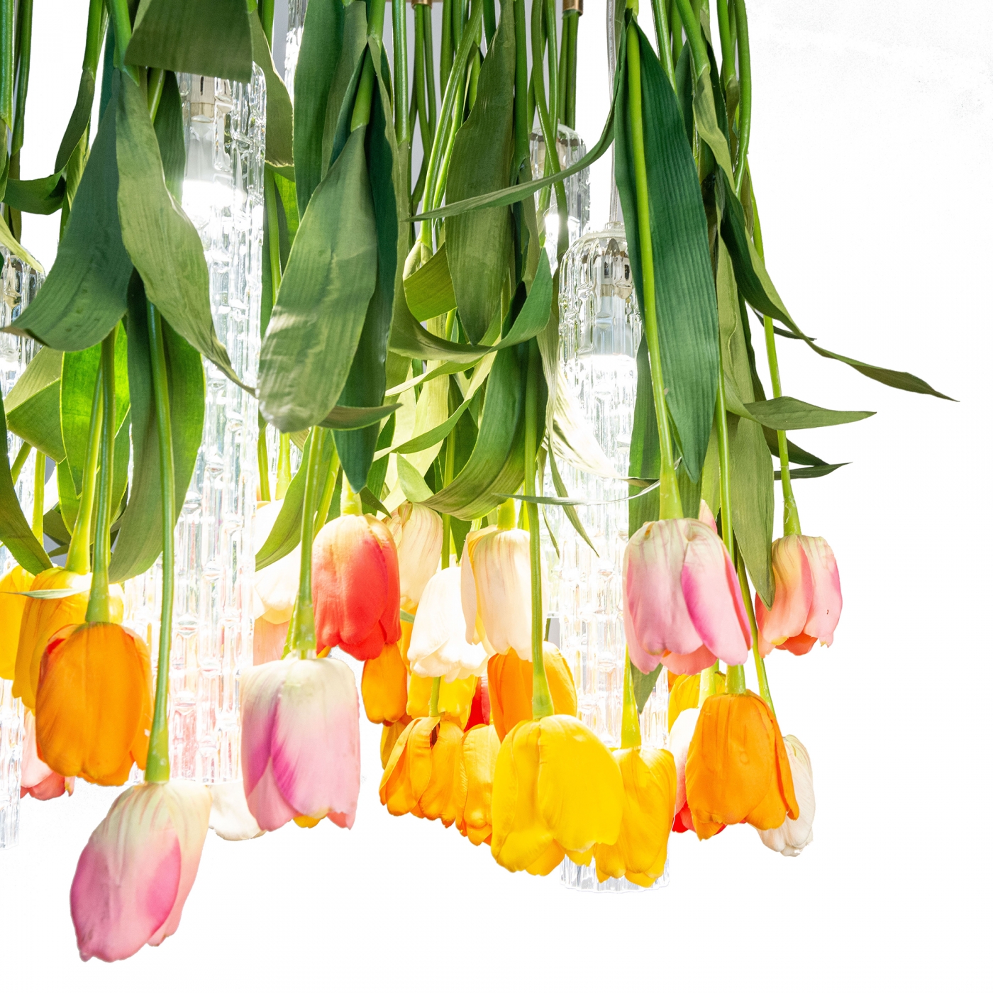 1624626834-TULIP_D65_8880330.84_2155