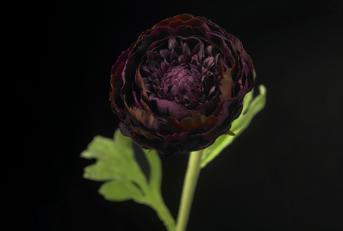 1687437188-1001464_40_p_low