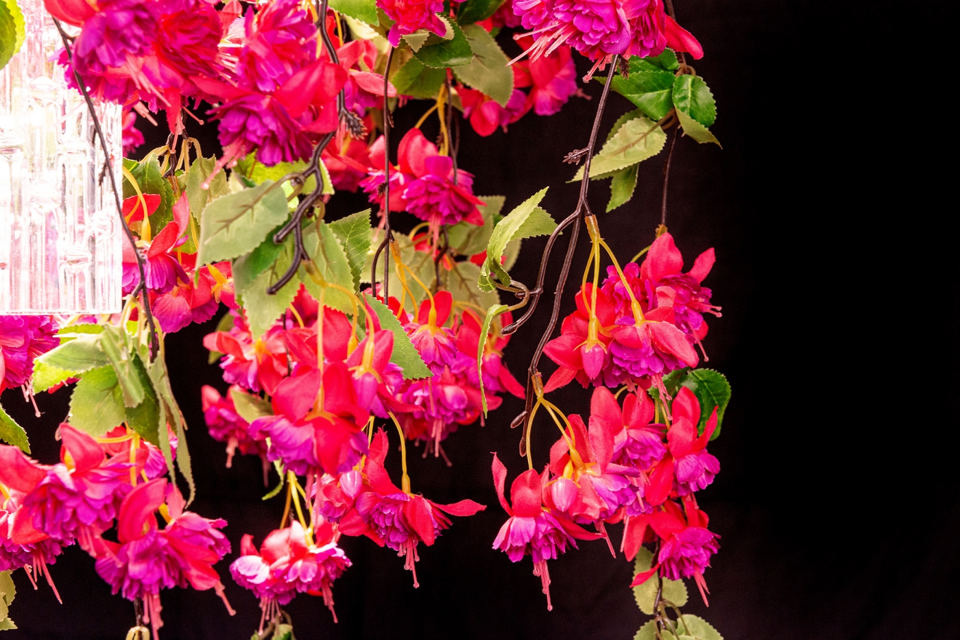 1628081156-CASCADE_FUCSIA_D65_8880421.84_2236
