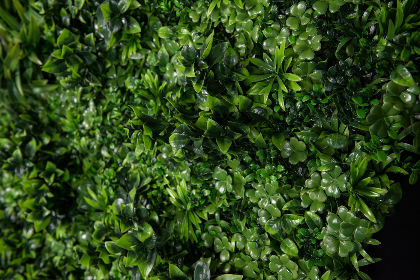 1568039012-_PAP8312