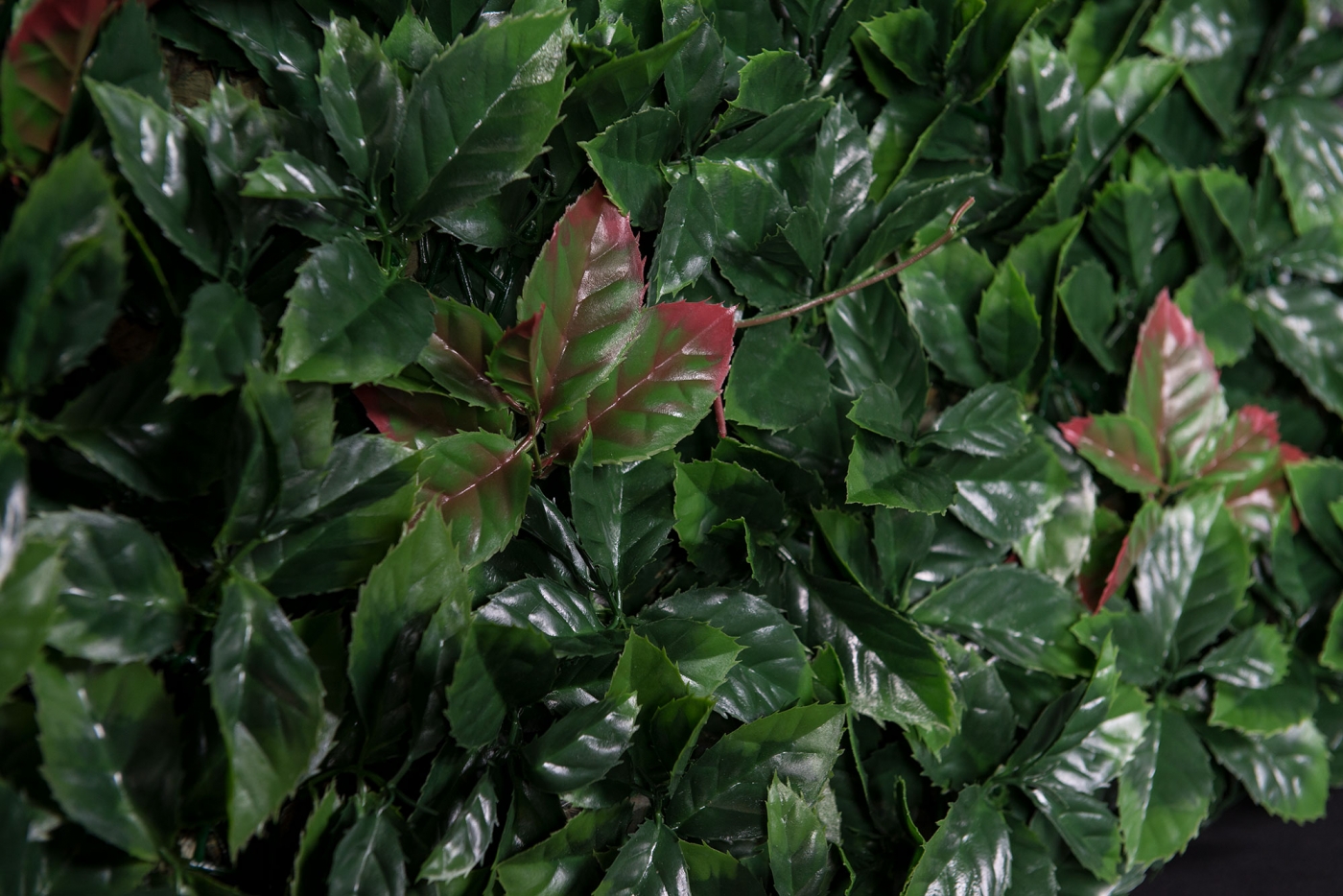 1568039453-_PAP8322