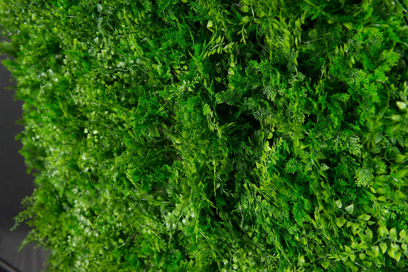 1568102530-_PAP8428