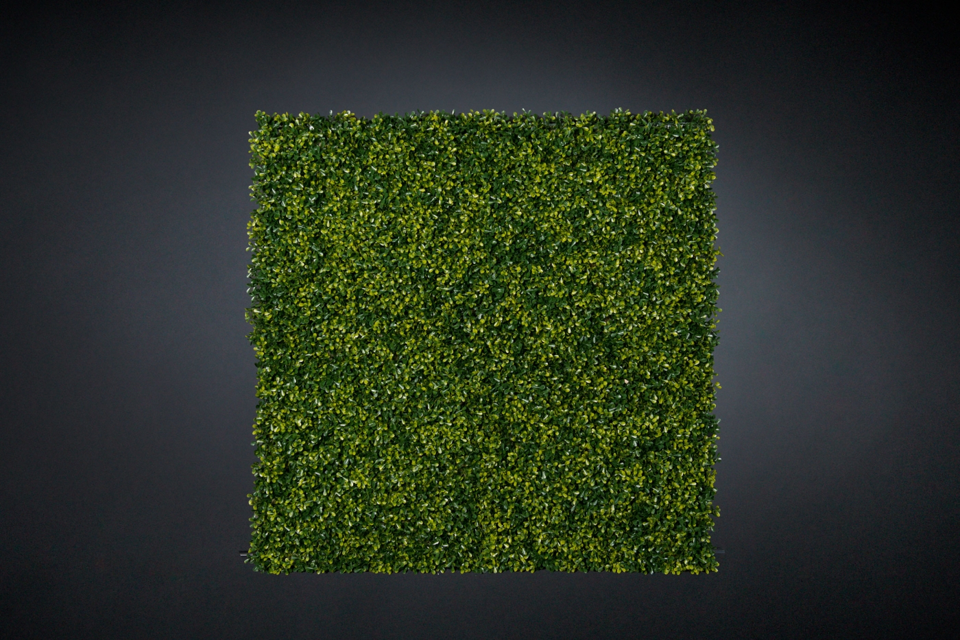 1568102602-_PAP8431