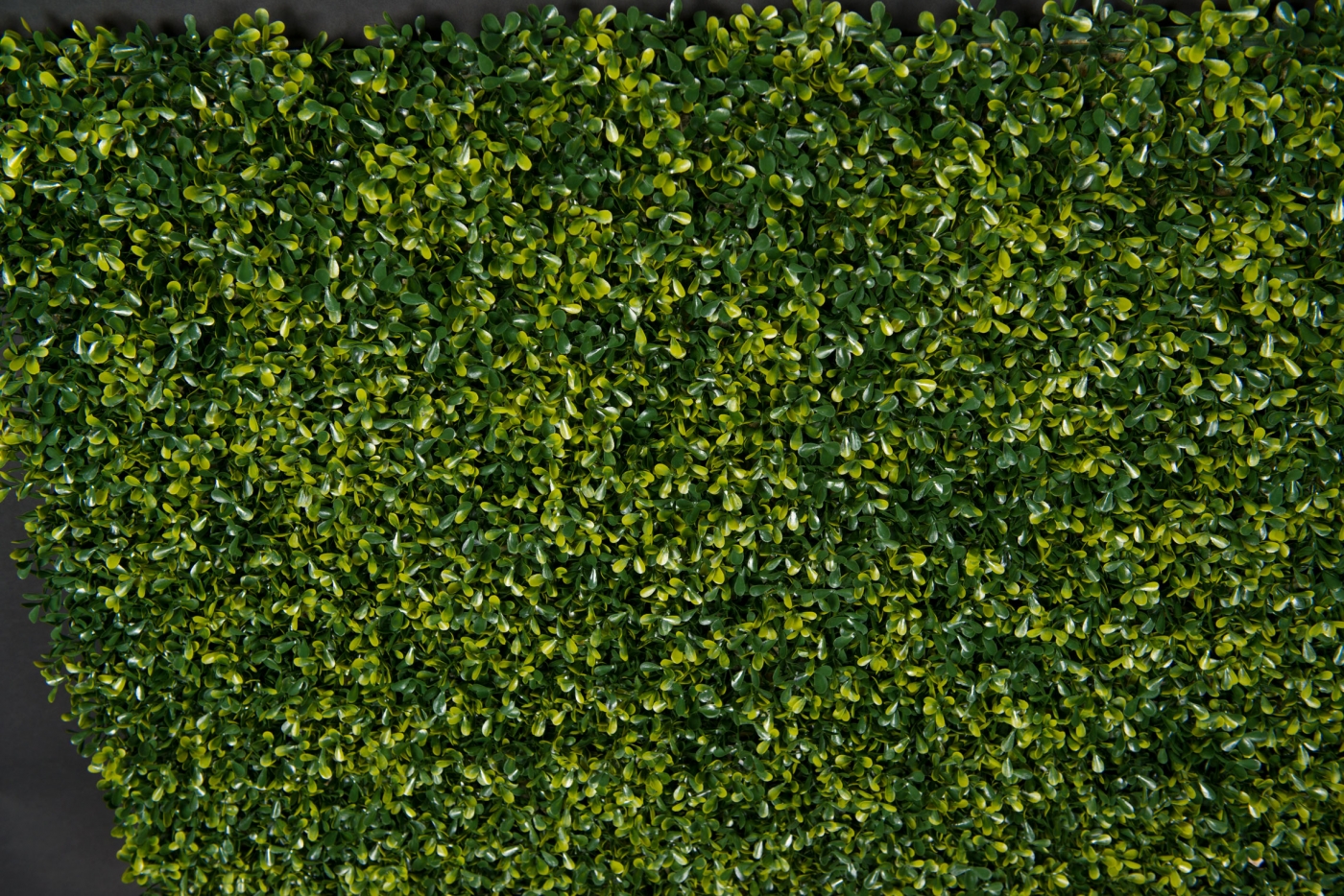 1568102608-_PAP8432