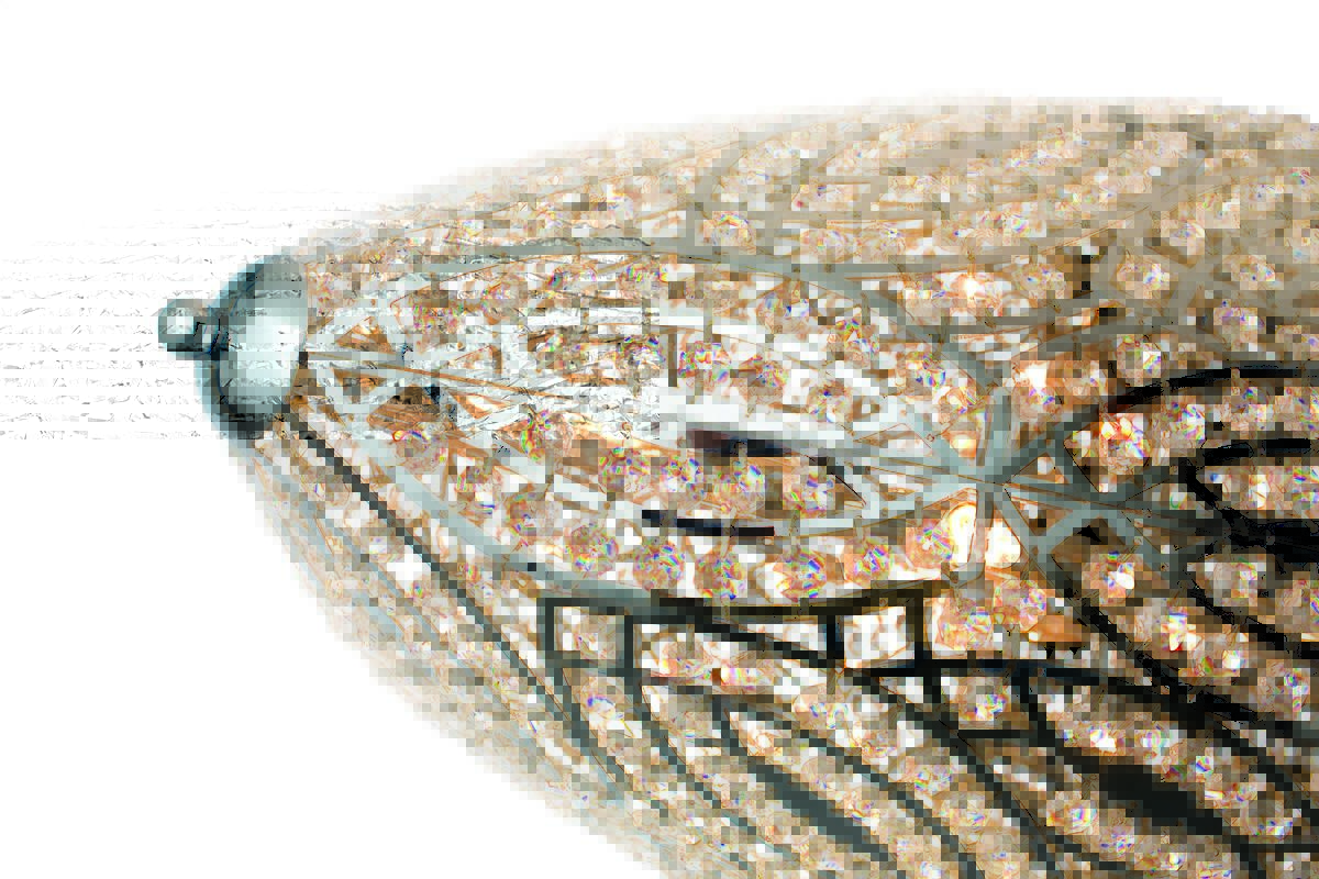 7521911.98_r1